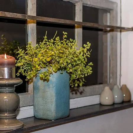 Aan De Holle Weg. Zeer Landelijk Gelegen Verbouwde Stal Tot Woning Lejlighed