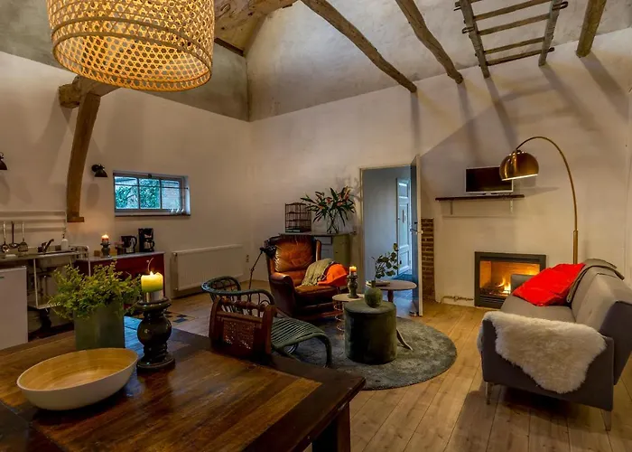 Aan De Holle Weg. Zeer Landelijk Gelegen Verbouwde Stal Tot Woning *