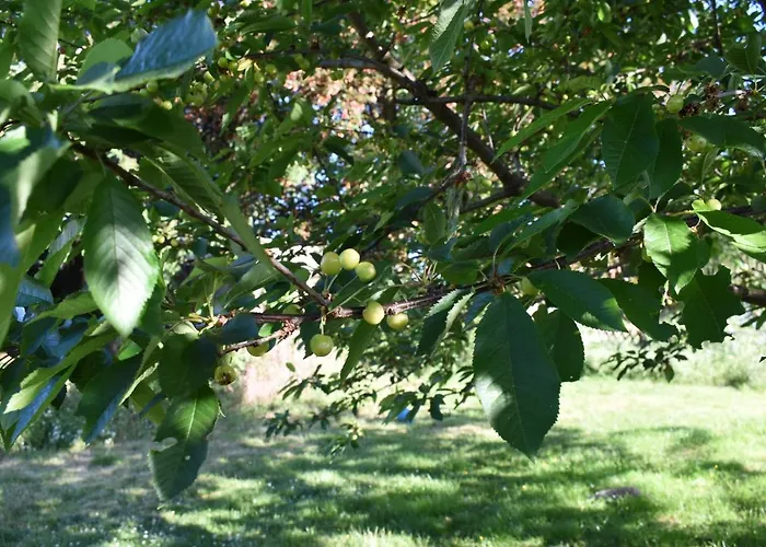 Aan De Holle Weg. Zeer Landelijk Gelegen Verbouwde Stal Tot Woning شقة *