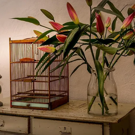 Aan De Holle Weg. Zeer Landelijk Gelegen Verbouwde Stal Tot Woning * Nuth